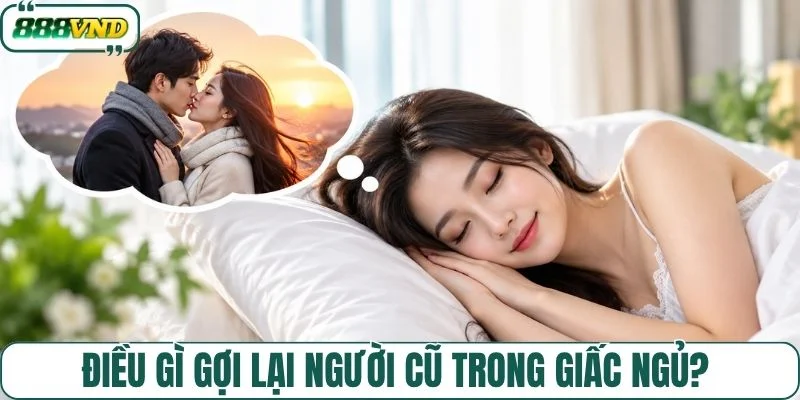 Điều gì gợi lại người cũ trong giấc ngủ? 