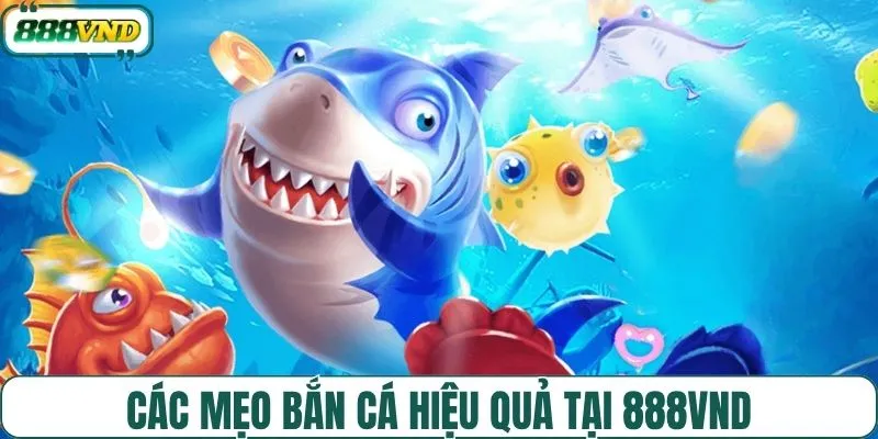 Tìm hiểu chi tiết mẹo bắn cá hiệu quả tại 888VND